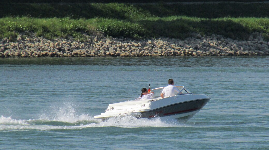 Sportboot auf dem Rhein bei Karlsruhe