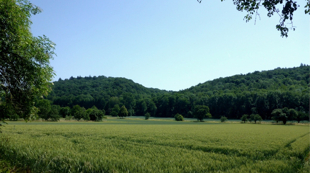 Landschaftsschutzgebiet „Grötzinger Bergwald-Knittelberg“ is a Protected landscape area in Baden-Württemberg, Germany.