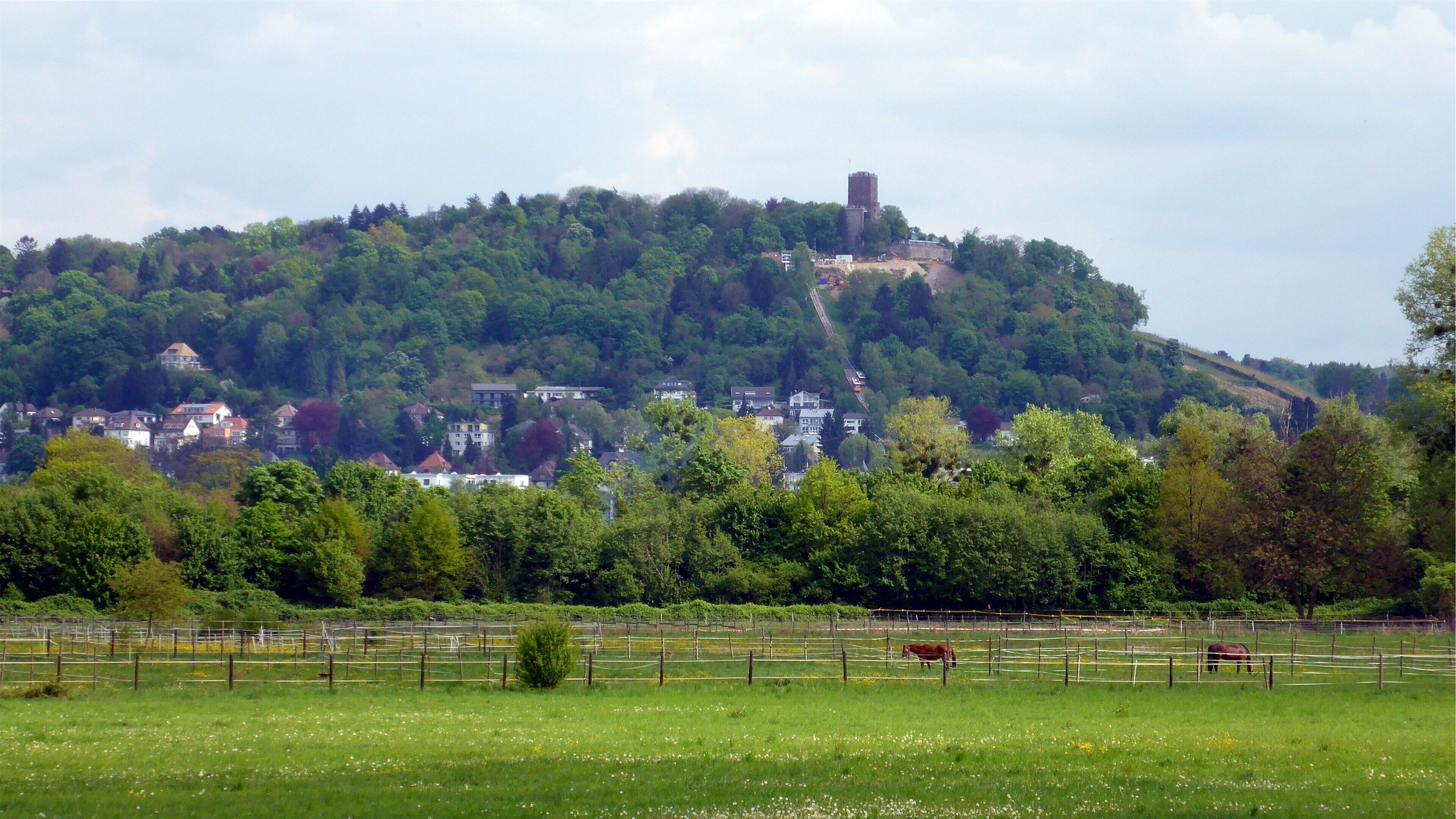 A green field with two horses, a hill with houses and a castle.