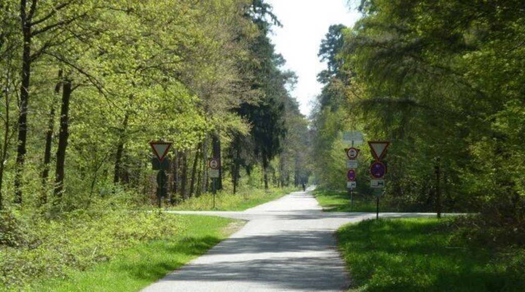 Die Grabener Allee kreuzt die L604