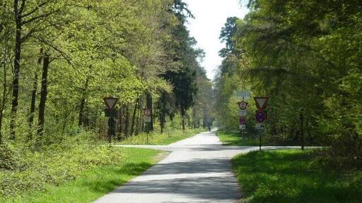 Die Grabener Allee kreuzt die L604