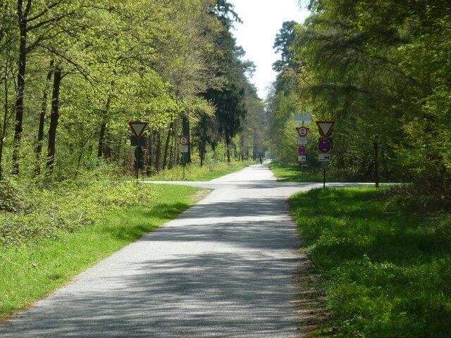 A narrow road flanked by dense green trees, with warning signs indicating a sharp bend and a speed limit of 30 km/h.