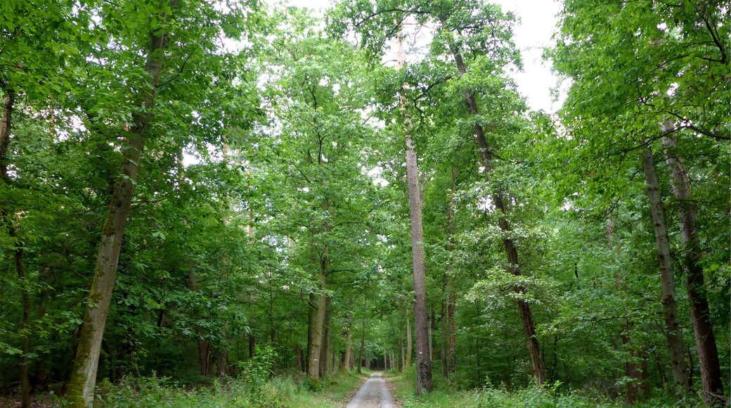 Landschaftsschutzgebiet „Nördliche Hardt“ is a Protected landscape area in Baden-Württemberg, Germany.