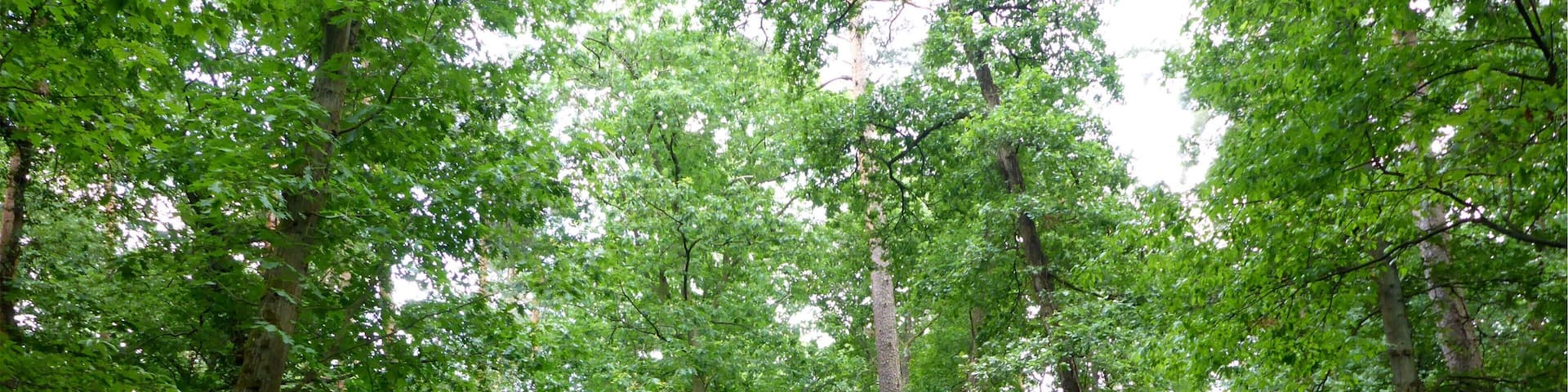 Landschaftsschutzgebiet „Nördliche Hardt“ is a Protected landscape area in Baden-Württemberg, Germany.