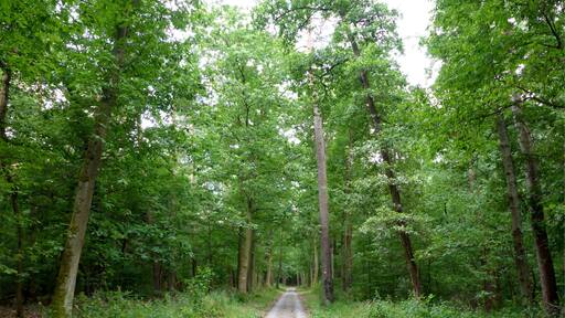 Landschaftsschutzgebiet „Nördliche Hardt“ is a Protected landscape area in Baden-Württemberg, Germany.