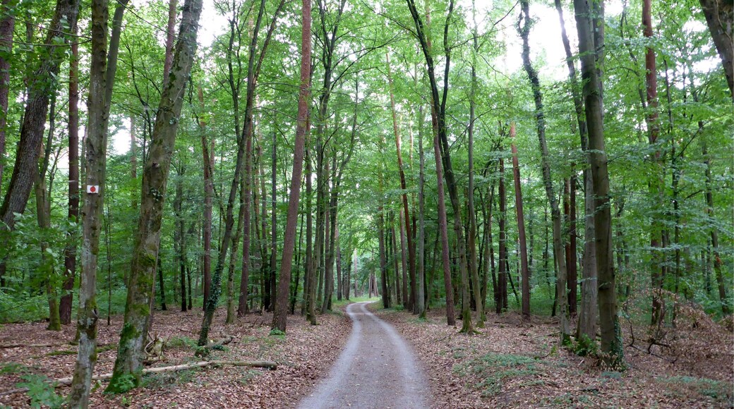 Landschaftsschutzgebiet „Nördliche Hardt“ is a Protected landscape area in Baden-Württemberg, Germany.
