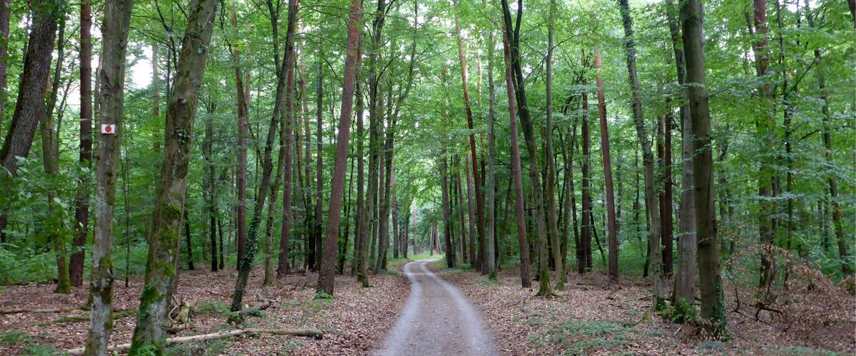 Landschaftsschutzgebiet âNördliche Hardtâ is a Protected landscape area in Baden-WĂŒrttemberg, Germany.