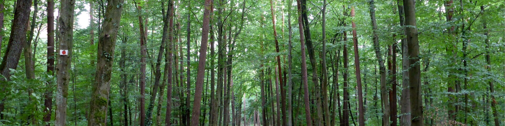 Landschaftsschutzgebiet „Nördliche Hardt“ is a Protected landscape area in Baden-Württemberg, Germany.