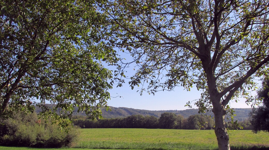 Rüppurr am Schiedgraben