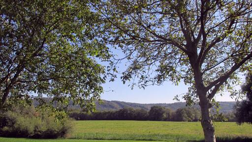 Rüppurr am Schiedgraben