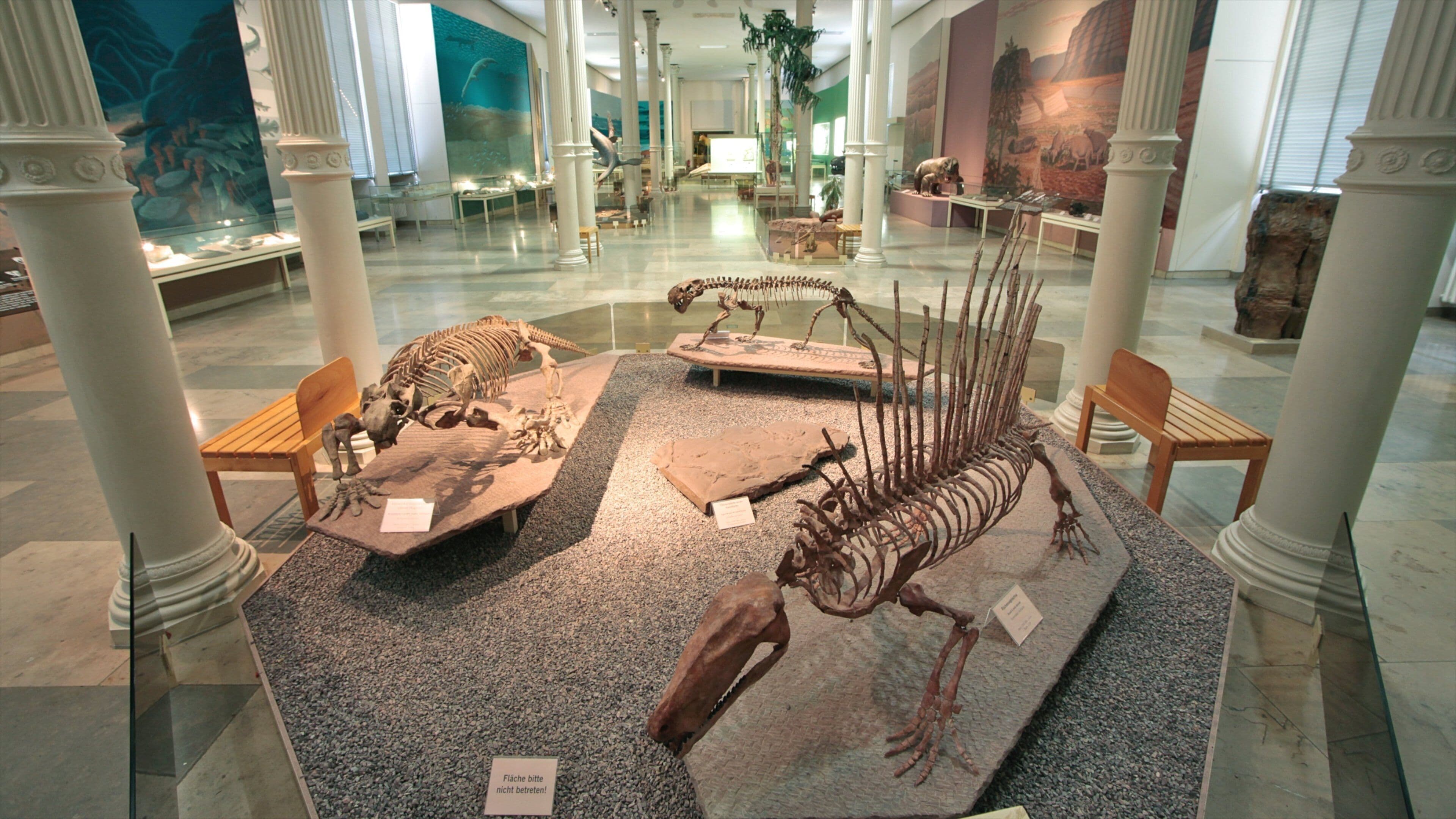 Karlsruhe which includes art and interior views