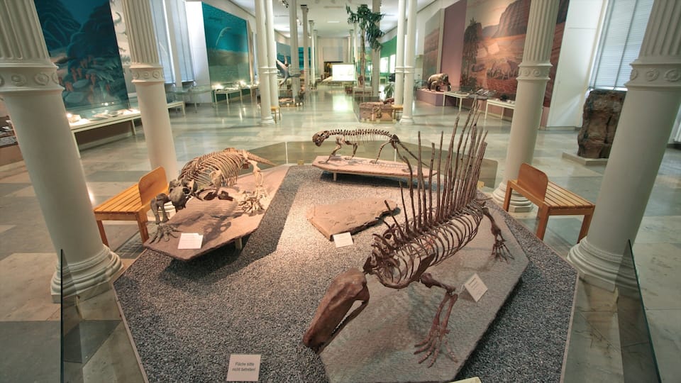 A museum exhibit with dinosaur skeletons and a mural.
