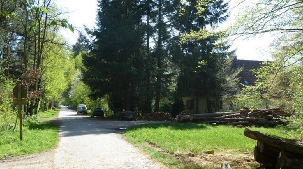 Grabener Allee zwischen Kanalweg und Rintheimer Querallee