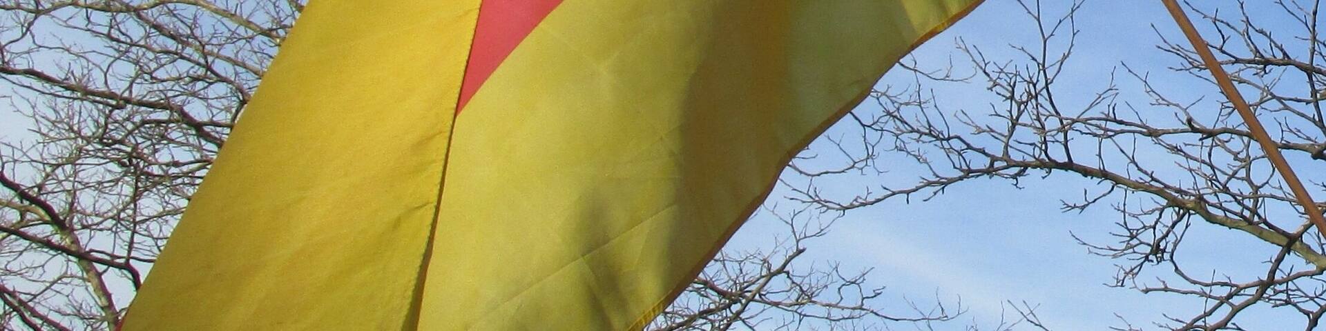 A flag with yellow and red colors, set against a clear blue sky and leafless trees.