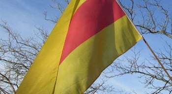 Een vlag met gele en rode kleuren, op de achtergrond een heldere blauwe lucht en kale bomen.