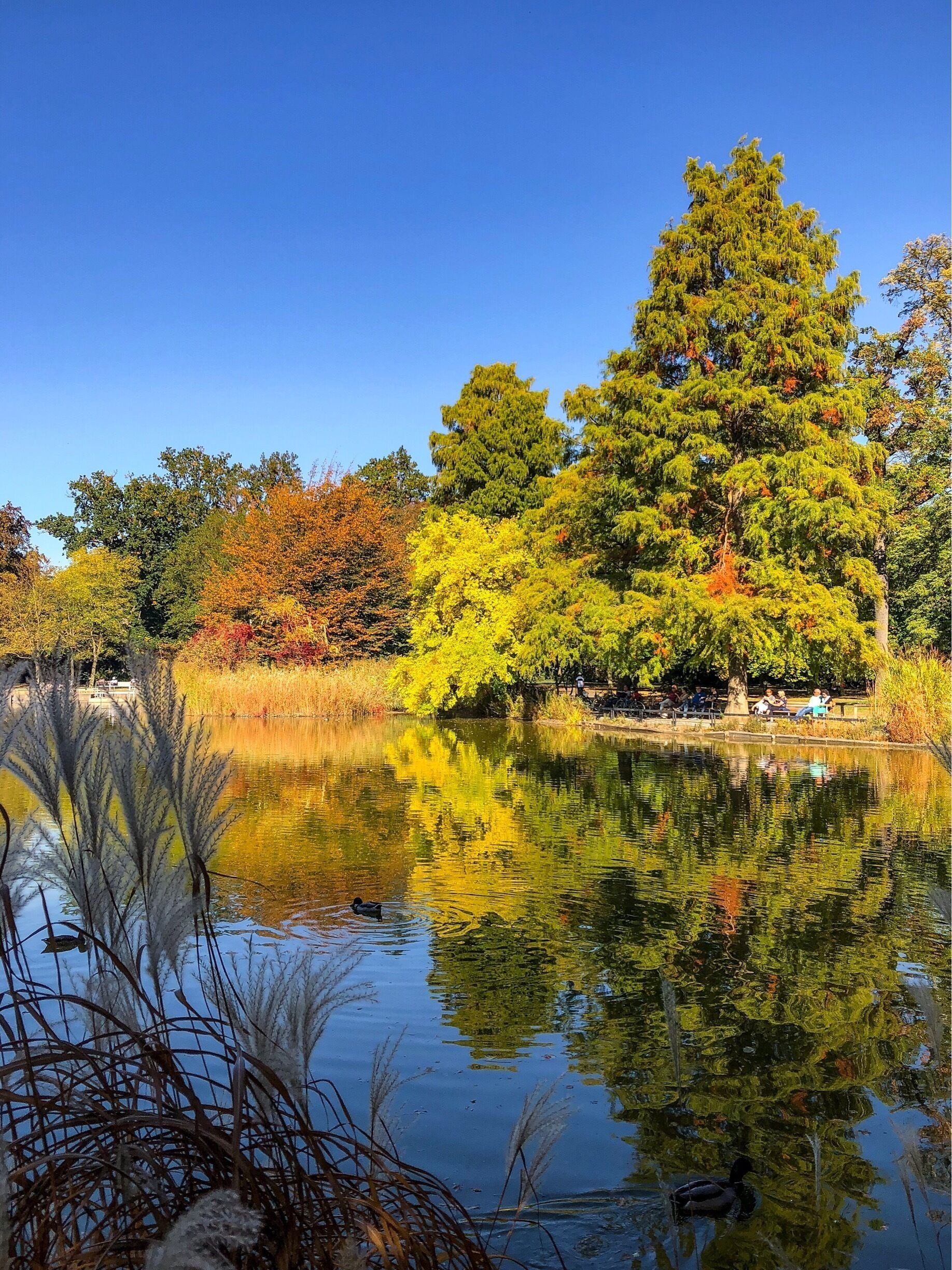 Gardens of Karlsruhe Palace, Germany
#GreatOutdoors
