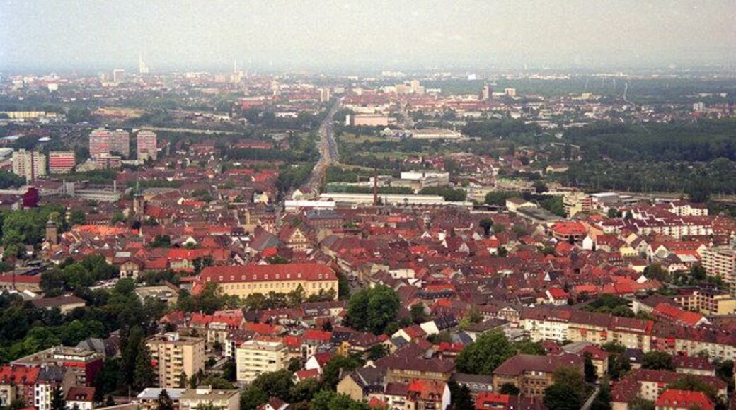 View from the Turmberg