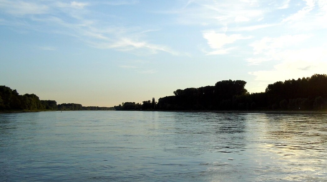 Karlsruhe - Rheinbegradigung durch Tulla