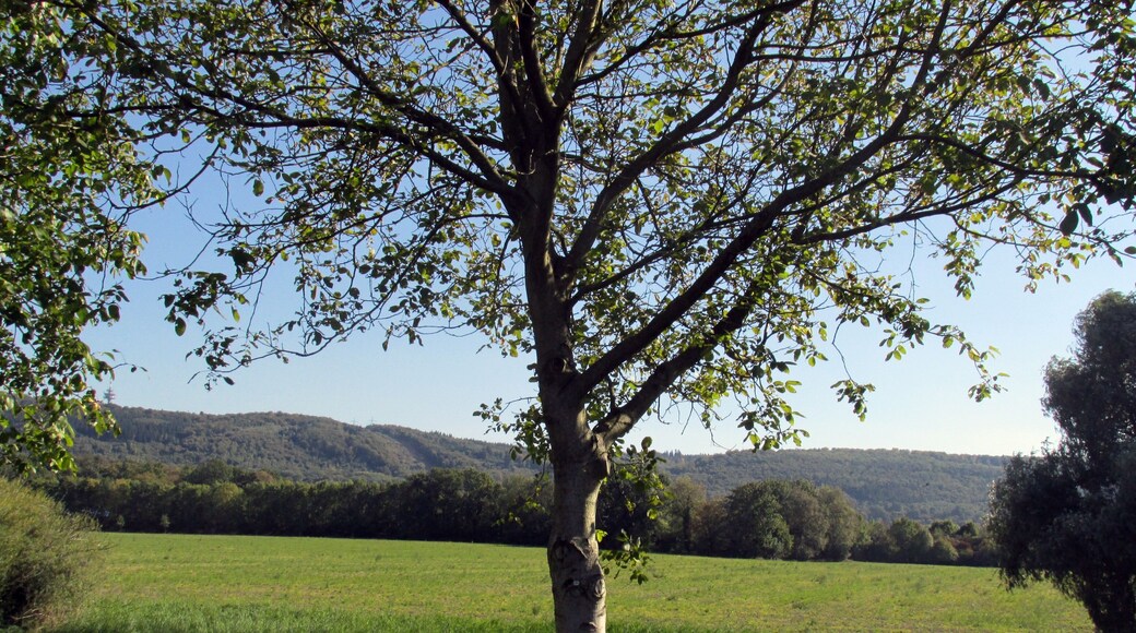 Blick zum Nordschwarzwald
