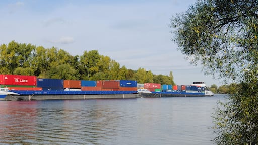 Gavialis and Gavialis II, river Main near Kelsterbach, Hesse, Germany.