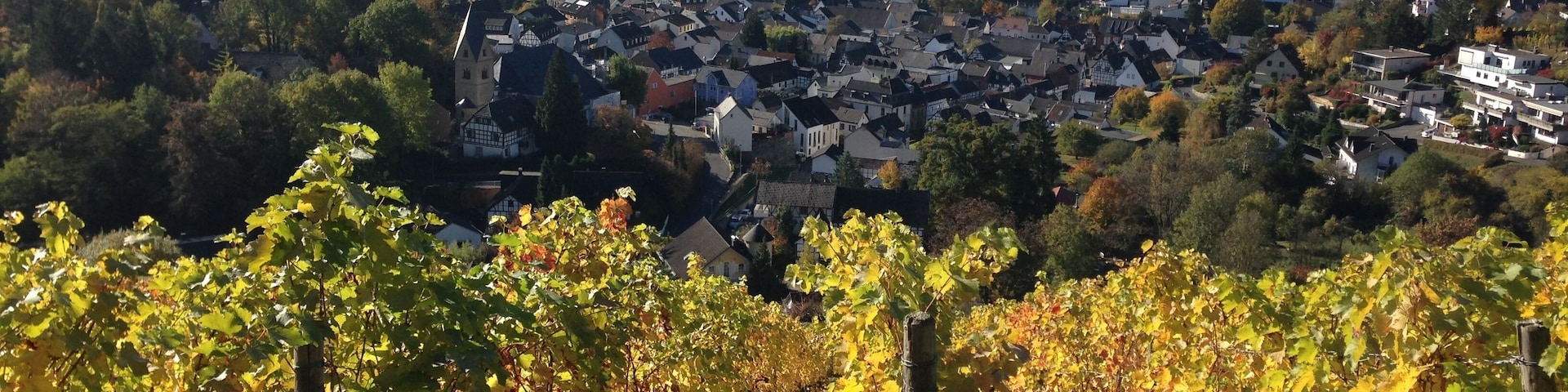 Blick vom Weinberg auf Oberdollendorf