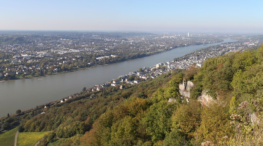Blick vom Drachenfels (Siebengebirge)