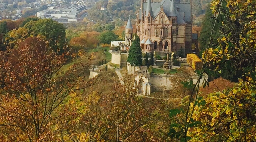 Schloss Drachenberg and view of Bonn beyond. Schloss Drachenburg is a private villa in palace style constructed in the late 19th century. It was completed in only two years (1882–84) on the Drachenfels hill in Königswinter, a German town on the Rhine near the city of Bonn. Baron Stephan von Sarter (1833–1902), a broker and banker, planned to live there, but never did.
Today the Palace is in the possession of the State Foundation of North Rhine-Westphalia. It is served by an intermediate station on the Drachenfels Railway. You can ride the train or hike from the bottom.