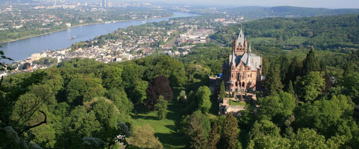 A castle surrounded by lush greenery, a river, and a distant cityscape.