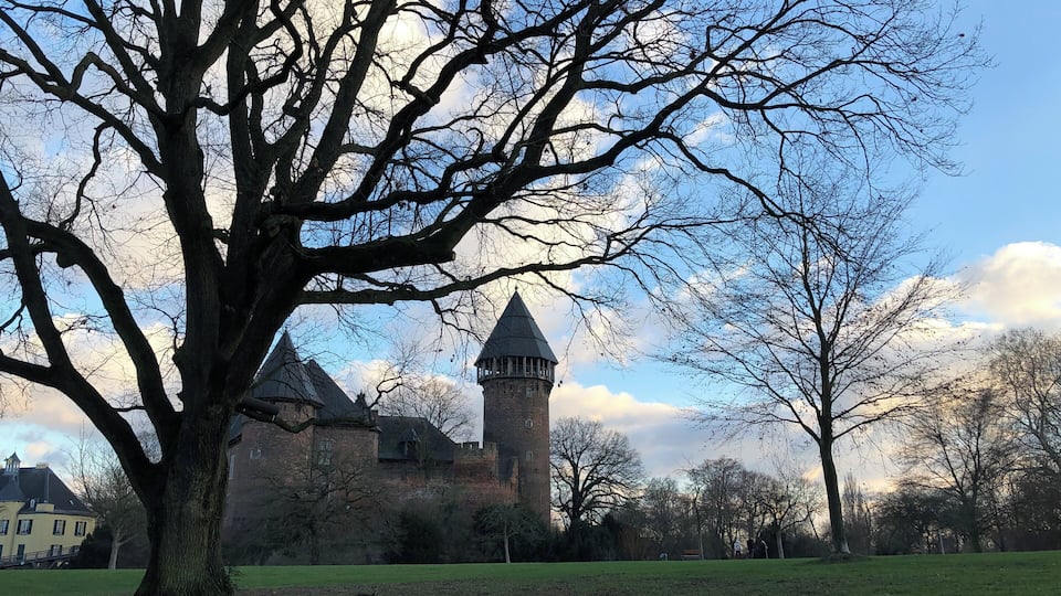 Ein großer Baum im Vordergrund, eine Burg mit einem Turm im Hintergrund und ein klarer Himmel.