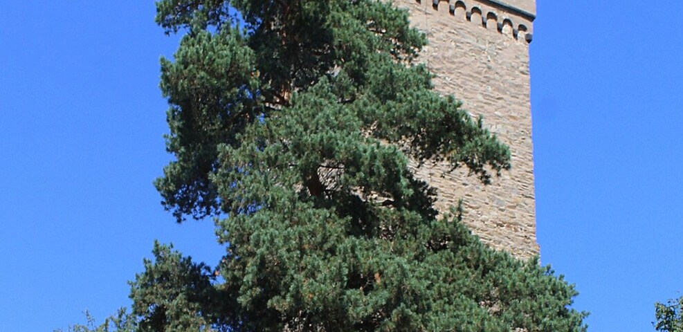 Kronberg im Taunus, castle, the tower "Freiturm"