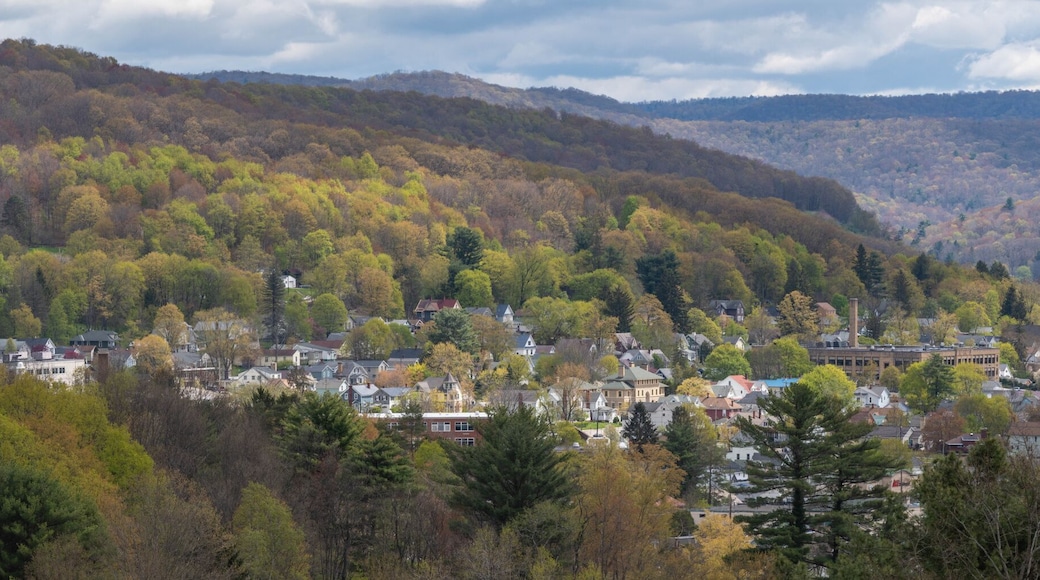 Town of Bradford Pa mountain valley landscape blooming season sky overcast theme USA town , Blooming trees, historic town.