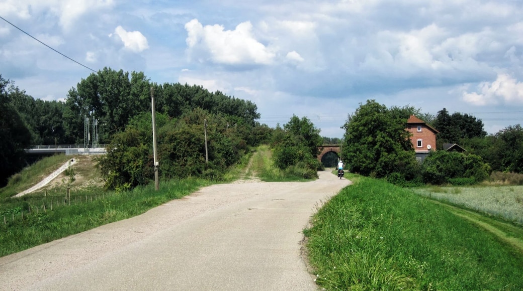 Hessen, Germany. Country road passing under Worms-Hofheim railroad, east of the Rhine bridge.