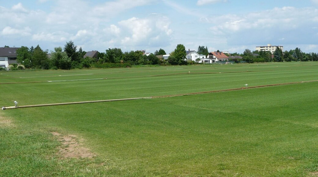 Hier wird Rollrasen gezüchtet.