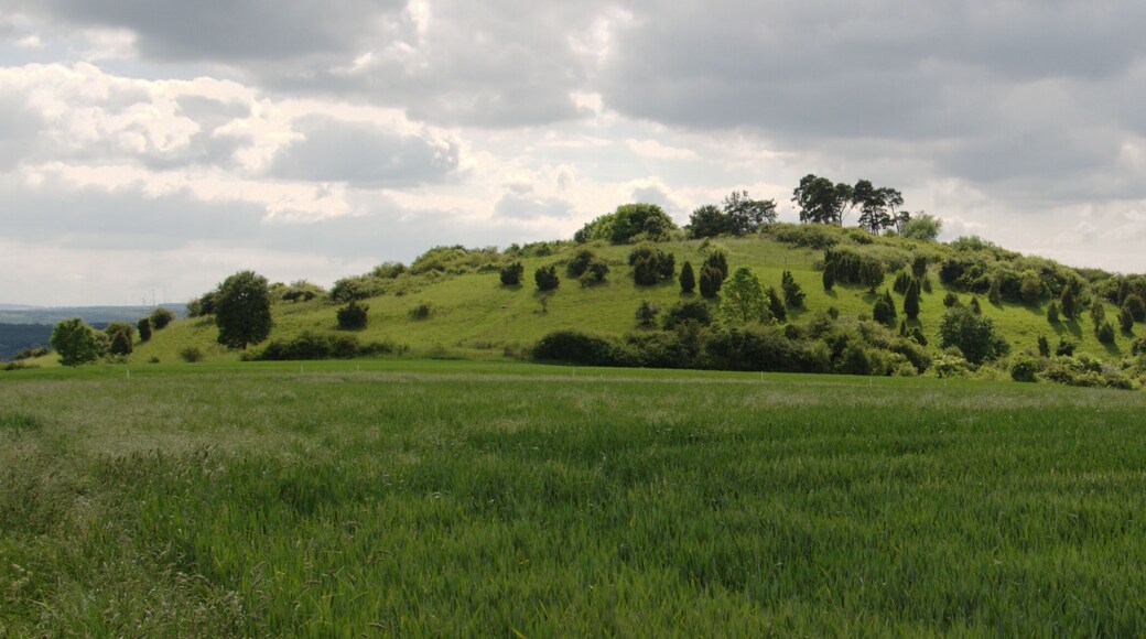 This is a picture of the protected area listed at WDPA under the ID