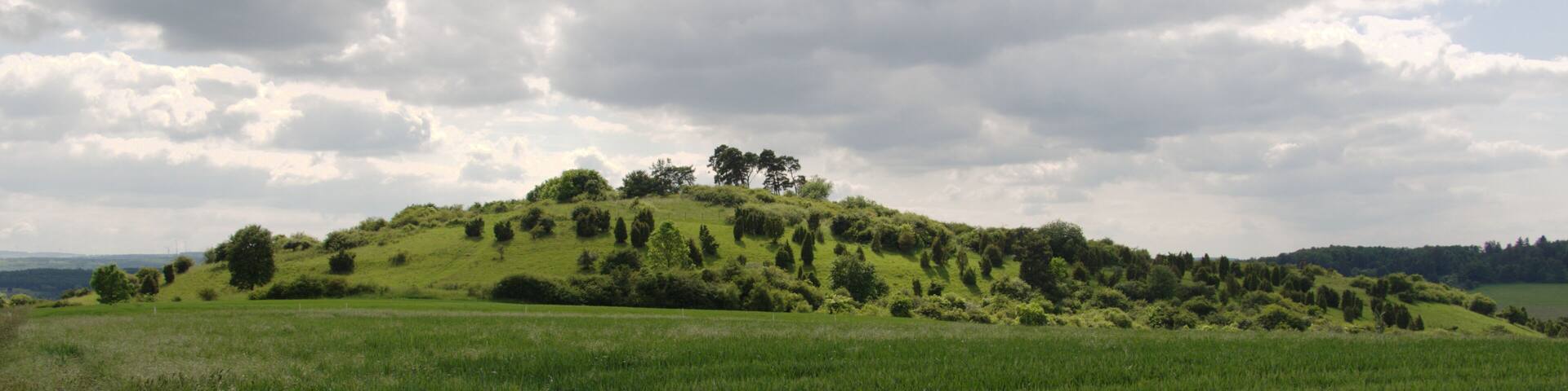 This is a picture of the protected area listed at WDPA under the ID