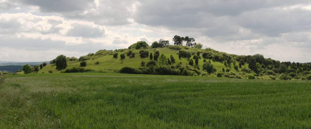 A grassy hill with trees and a cloudy sky.