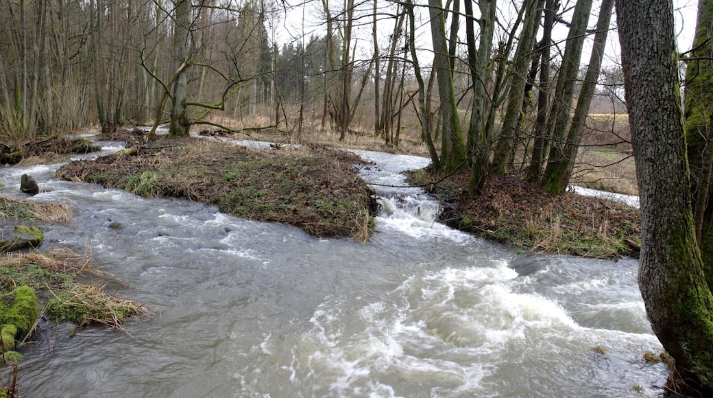 This is a picture of the protected area listed at WDPA under the ID