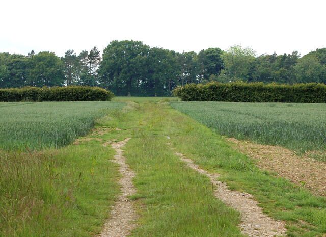 The end of a farm track Looking west along a private farm track north of Carbrooke. The track ends at the gap in the hedge. Access by kind permission of the landowner.