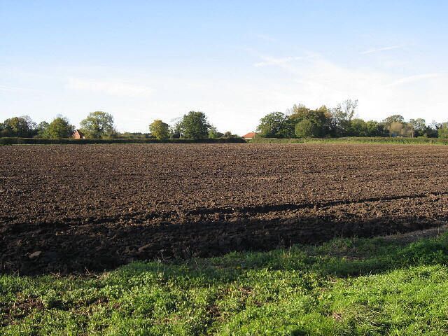 คาร์บรู๊ก