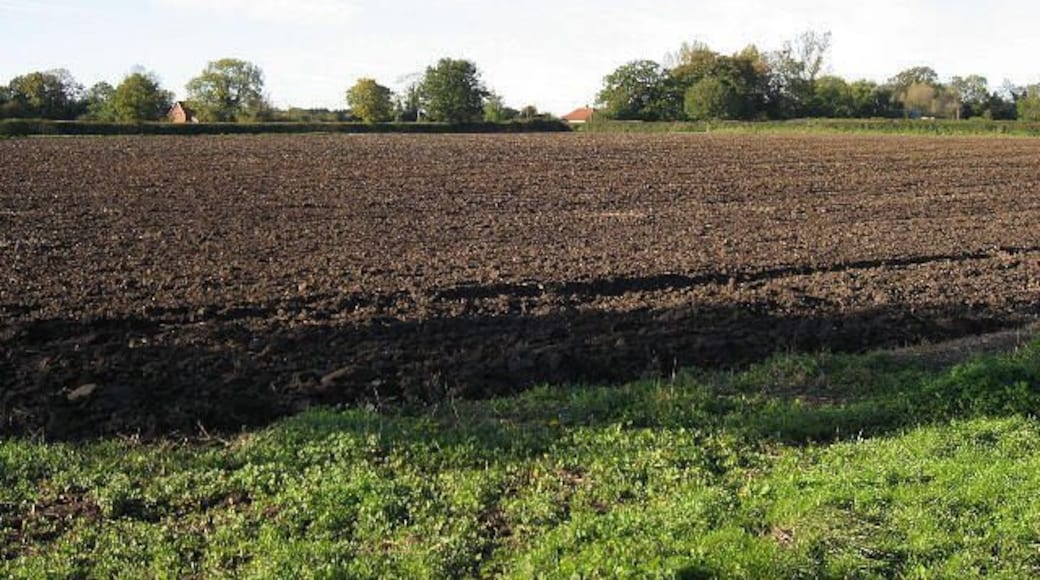 คาร์บรู๊ก