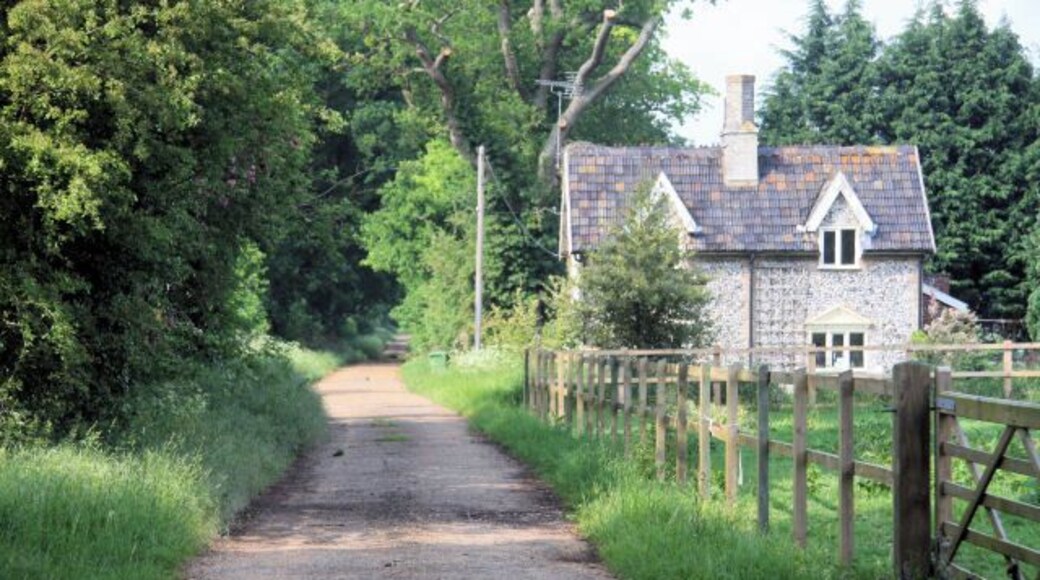 Peddars Way and Cuckoo Lodge The long-distance footpath becomes a track as it passes Slate Plantation to the left and Cuckoo Lodge ahead.