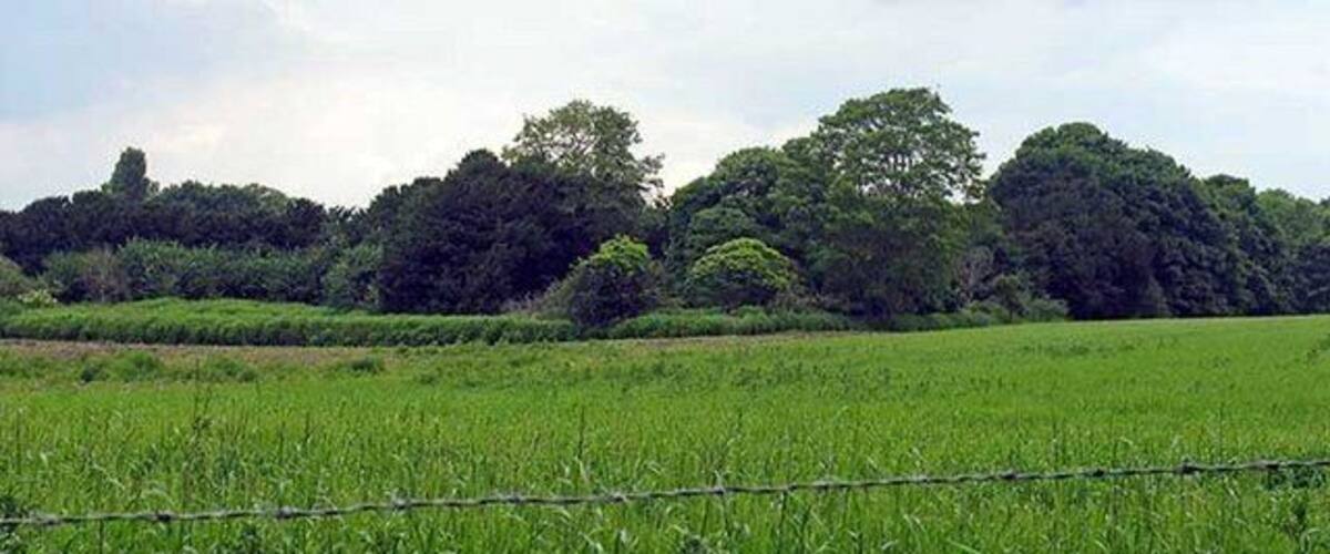 Field next to St Michael and All Angels Church, Didlington, Norfolk