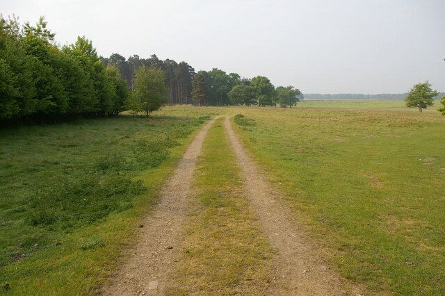 Danger - Stanford Training Area Track across Croxton Heath to copse in SE corner of TL8590