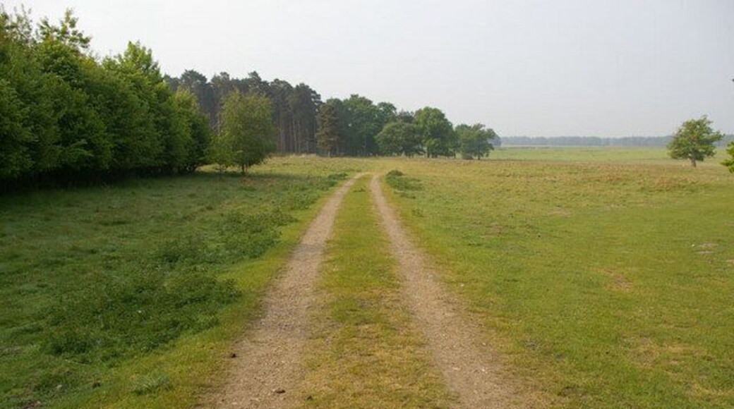Danger - Stanford Training Area Track across Croxton Heath to copse in SE corner of TL8590