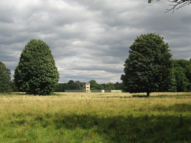 Sentry Duty These two majestic trees appear to be standing sentry to the buildings beyond.