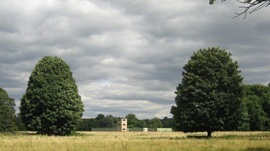 Sentry Duty These two majestic trees appear to be standing sentry to the buildings beyond.