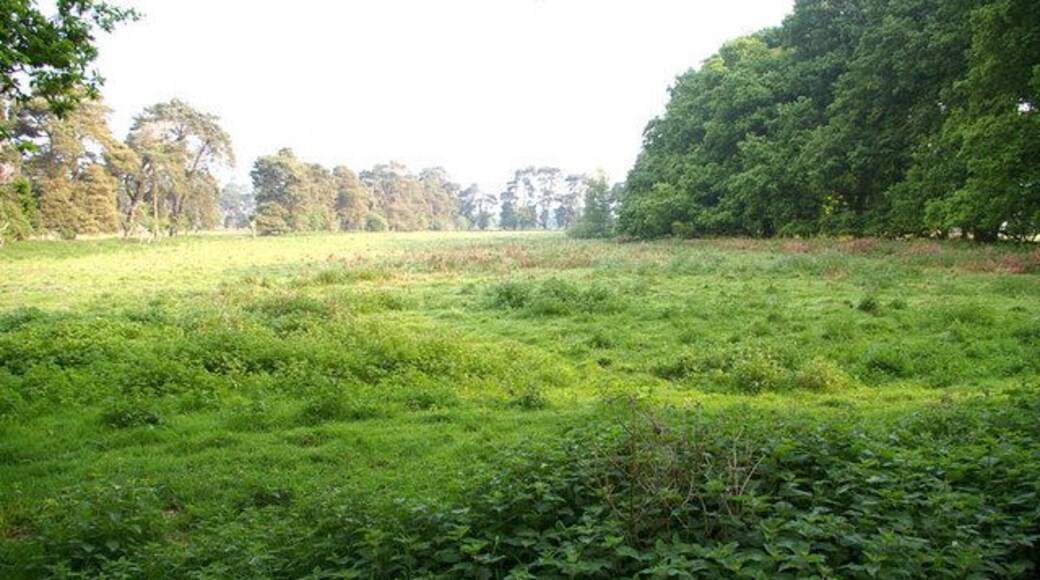 Danger - Stanford Training Area Northerly view from the road to Frog Hill