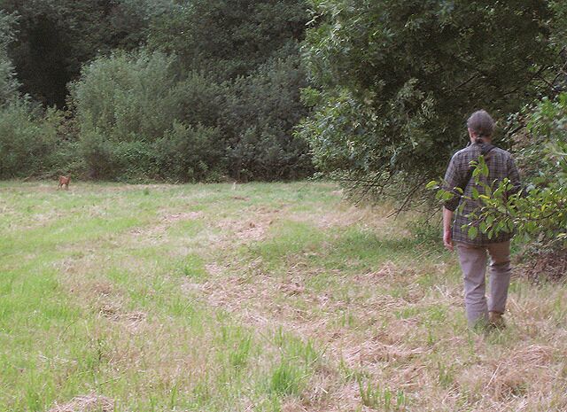 Deer-stalking Norfolk-style The small deer in the background could only have been a few months old and was a little unwary. The geographer in the foreground, of slightly older vintage, got within about 25 metres of the young deer before it took to its heels.