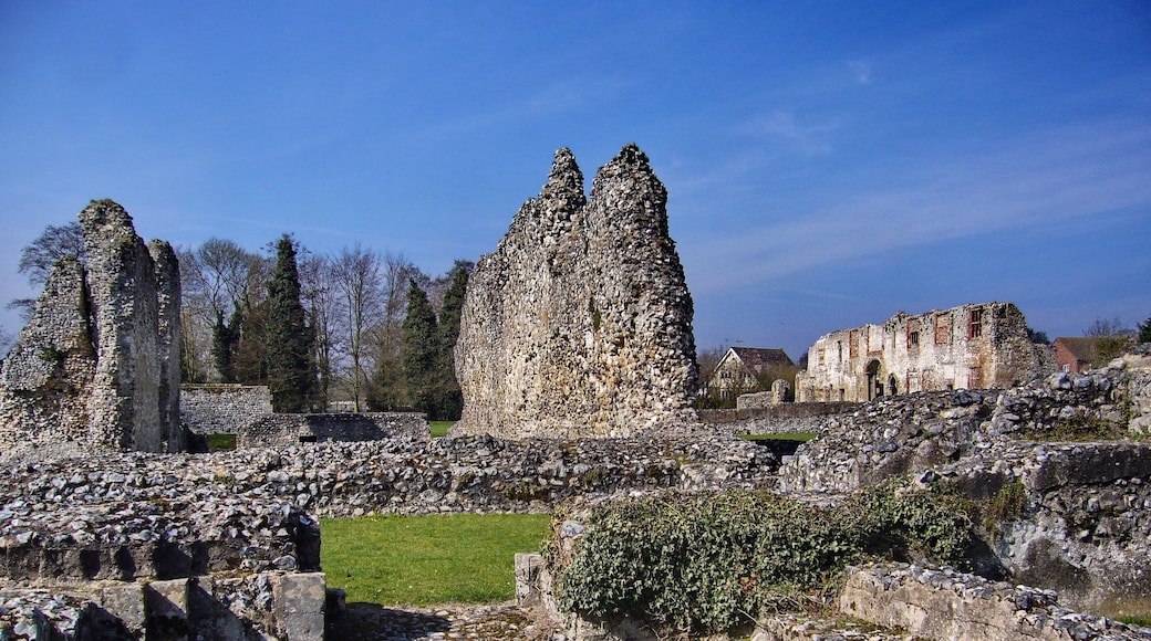 Thetford Priory.