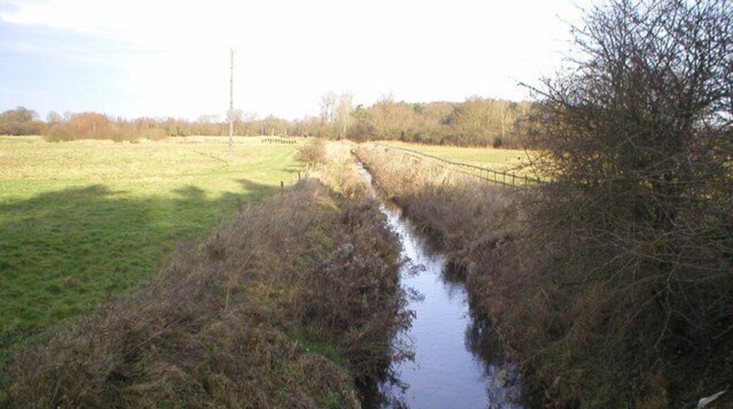 River Wissey below confluence of River Erne River Erne flows into the Wissey just above this point, near Erne Ford House. River flowing south here.